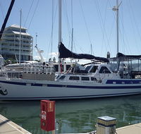 Coral Sea Dreaming Dive and Sail - Gold Coast Attractions