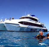 Silver Swift - Gold Coast Attractions