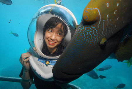 Sunlover Reef Cruises - Gold Coast Attractions 0