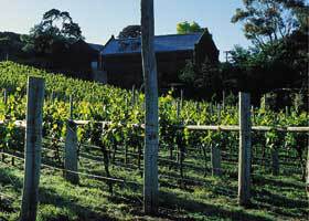 Goona Warra Vineyard - Gold Coast Attractions 1