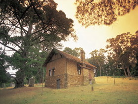 Heysen - The Cedars - Gold Coast Attractions 0