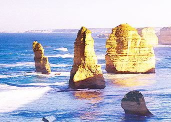 Bunyip Tours - Gold Coast Attractions 3