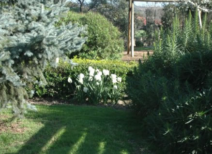 The Old Cheese Factory - Gold Coast Attractions 2