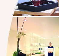 Lyall Hotel and Spa - Gold Coast Attractions