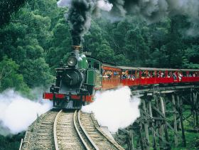 Gray Line Tours Melbourne - Gold Coast Attractions 1