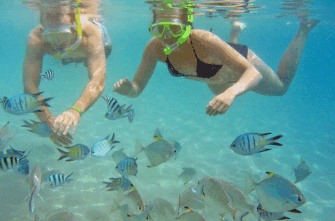 Australian Kayaking Adventures - Gold Coast Attractions 2