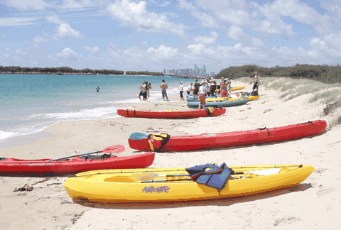 Australian Kayaking Adventures - Gold Coast Attractions 3