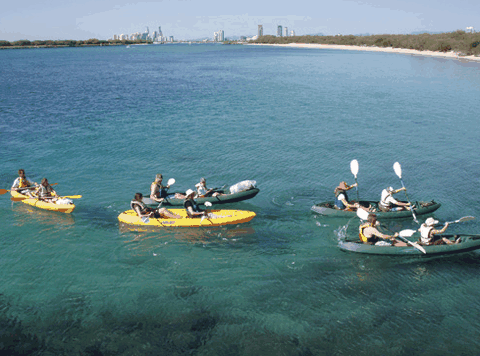 Australian Kayaking Adventures - Gold Coast Attractions 4