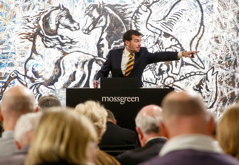 Mossgreen - Gold Coast Attractions 0