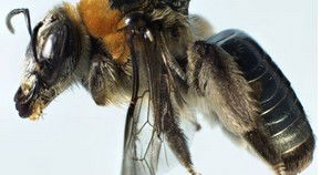 Perth City WA Gold Coast Attractions