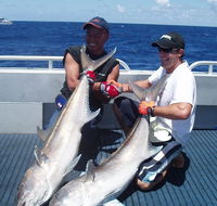 Blue Juice Charters - Gold Coast Attractions