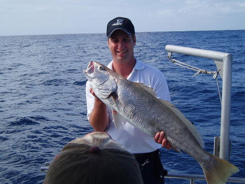 Blue Juice Charters - Gold Coast Attractions 1