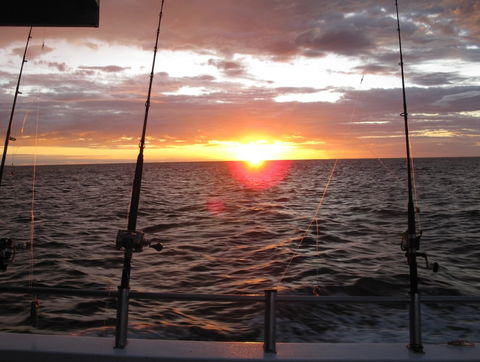 Blue Juice Charters - Gold Coast Attractions 5