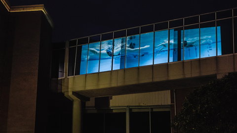 Kingston Arts - Gold Coast Attractions 8