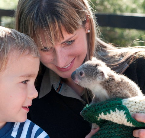 Australian Reptile Park - Gold Coast Attractions 1