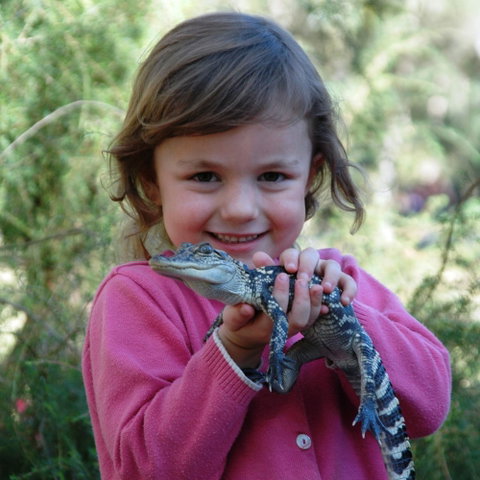 Australian Reptile Park - Gold Coast Attractions 2