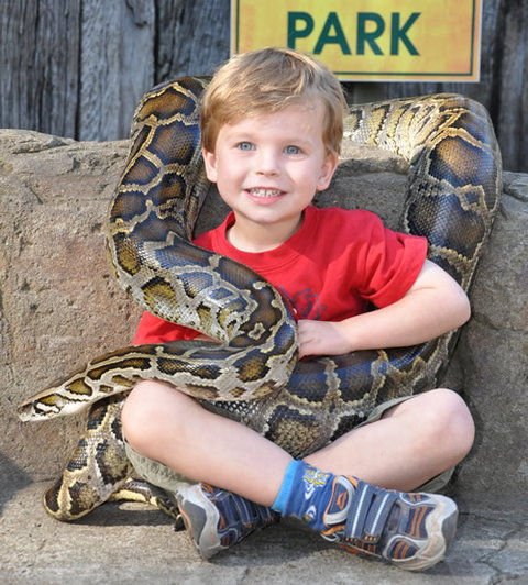 Australian Reptile Park - Gold Coast Attractions 3