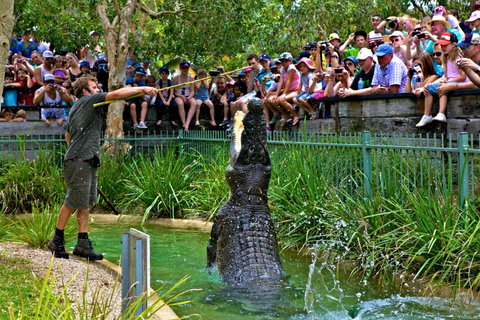 Australian Reptile Park - Gold Coast Attractions 4