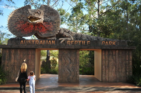 Australian Reptile Park - Gold Coast Attractions 5