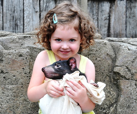 Australian Reptile Park - Gold Coast Attractions 8
