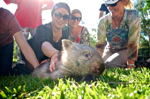 Australian Reptile Park - Gold Coast Attractions 10