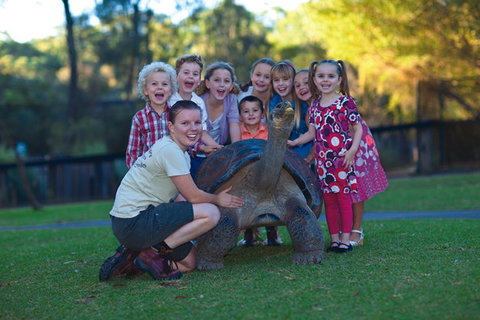 Australian Reptile Park - Gold Coast Attractions 11