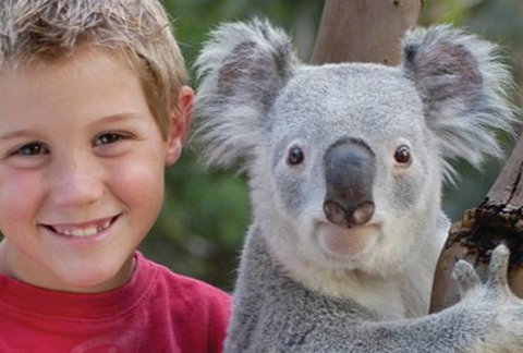 Featherdale Wildlife Park - Gold Coast Attractions 1