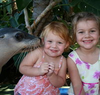Dolphin Marine Magic - Gold Coast Attractions