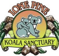 Lone Pine Koala Sanctuary - Gold Coast Attractions