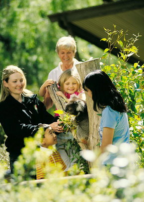 Cleland Wildlife Park - Gold Coast Attractions 5