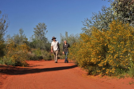 Alice Springs Desert Park - Gold Coast Attractions 3