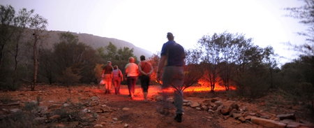 Alice Springs Desert Park - Gold Coast Attractions 4