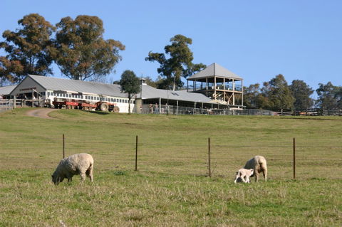 Calmsley Hill City Farm - Gold Coast Attractions 3