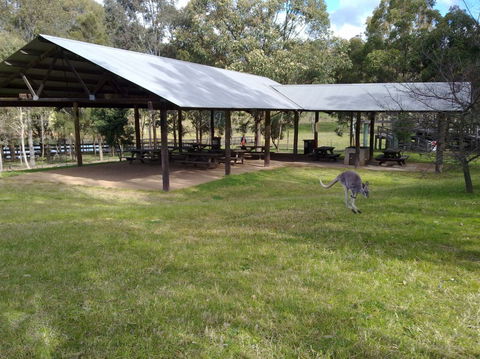 Calmsley Hill City Farm - Gold Coast Attractions 5