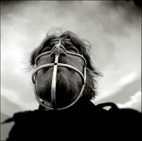 Australian Centre For Photography - Gold Coast Attractions 3