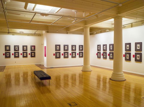 Cairns Regional Gallery - Gold Coast Attractions 2