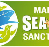Manly SEA LIFE Sanctuary - Gold Coast Attractions