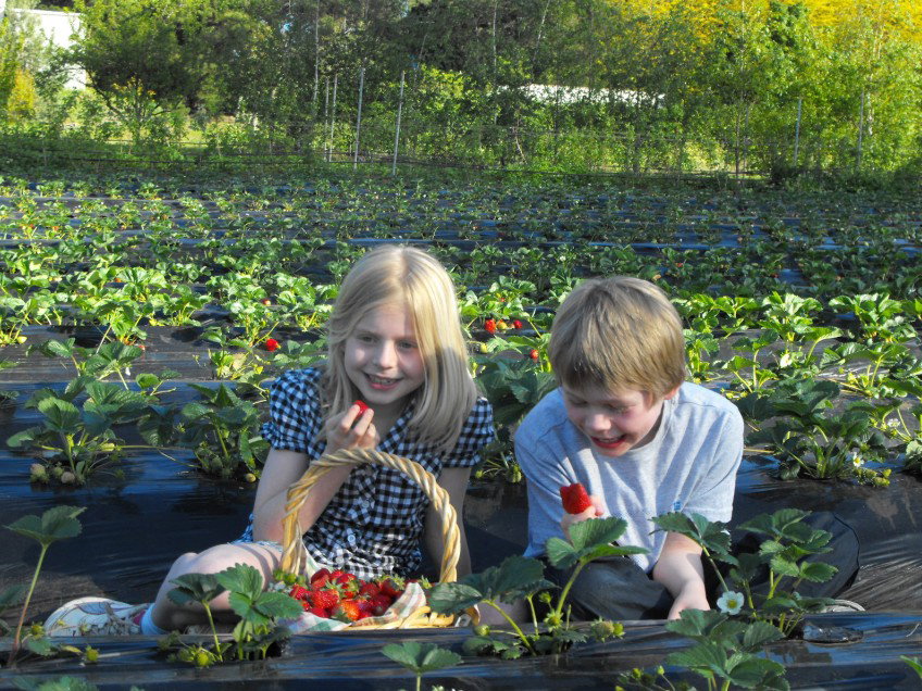  Gold Coast Attractions