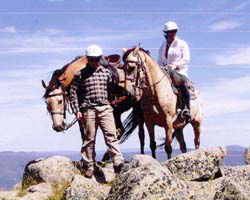High Country Horses - Gold Coast Attractions 3