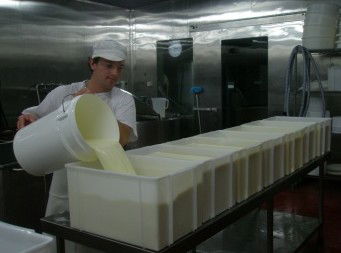 Witches Chase Cheese Co - Gold Coast Attractions 1