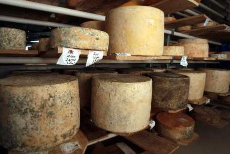 Witches Chase Cheese Co - Gold Coast Attractions 3
