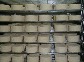 Witches Chase Cheese Co - Gold Coast Attractions 5