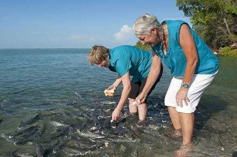 Aquascene Fish Feeding Sanctuary - Gold Coast Attractions 0