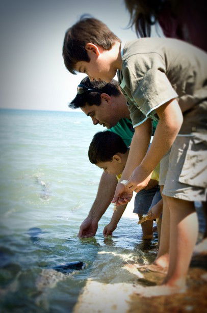 Aquascene Fish Feeding Sanctuary - Gold Coast Attractions 3