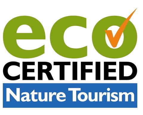 Aquascene Fish Feeding Sanctuary - Gold Coast Attractions 4