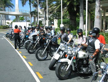 Wildfire Tours - Gold Coast Attractions 1