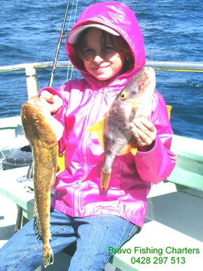 Bravo Fishing Charters - Gold Coast Attractions 5