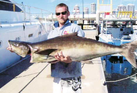True Blue Fishing Charters - Gold Coast Attractions 0