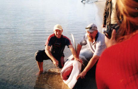 True Blue Fishing Charters - Gold Coast Attractions 1