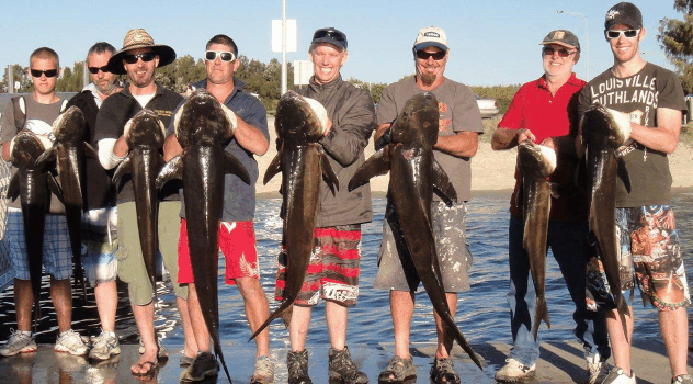 BKs Gold Coast Fishing Charters - Gold Coast Attractions 1